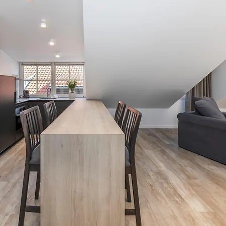 Artsy Exclusive Old Town Gallery Walk Apartment Vilnius