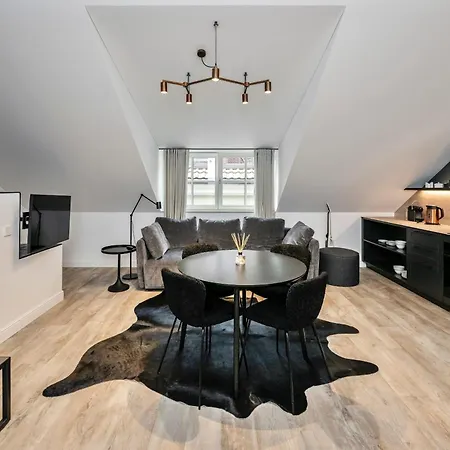 Artsy Exclusive Old Town Gallery Walk Vilnius