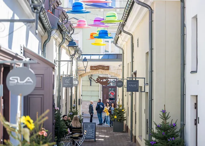 Artsy Exclusive Old Town Gallery Walk Vilnius