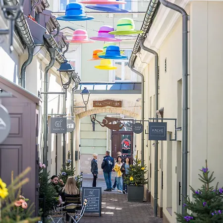 Artsy Exclusive Old Town Gallery Walk Вільнюс